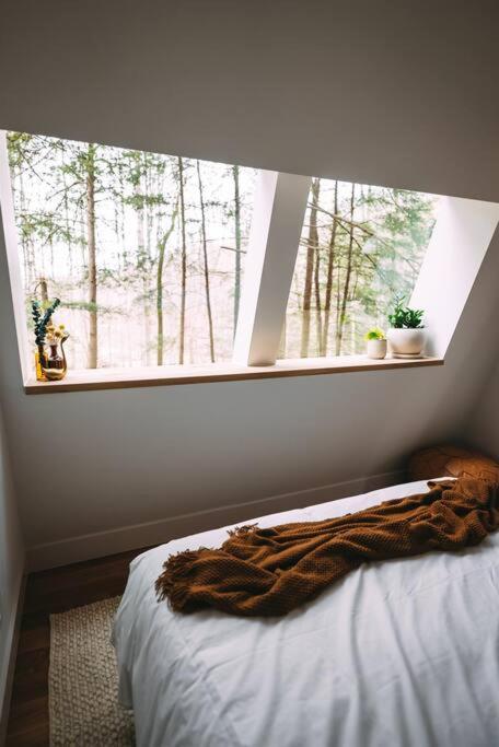 Dunlap Hollow A-Frame Rockbridge Bagian luar foto