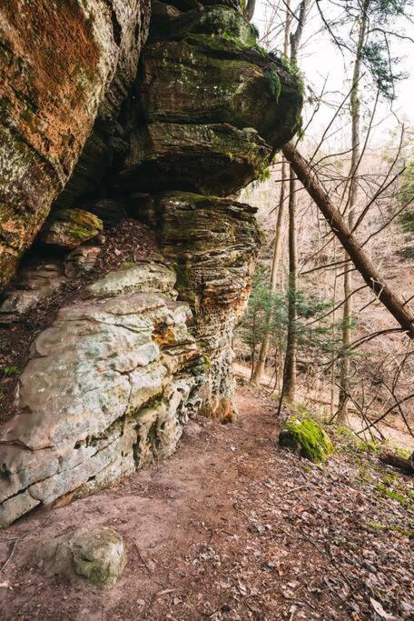 Dunlap Hollow A-Frame Rockbridge Bagian luar foto