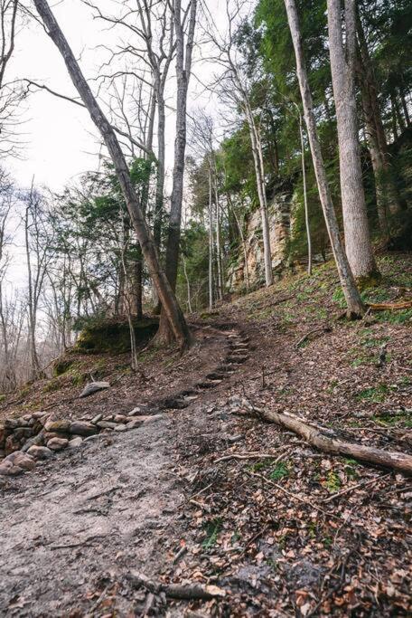 Dunlap Hollow A-Frame Rockbridge Bagian luar foto