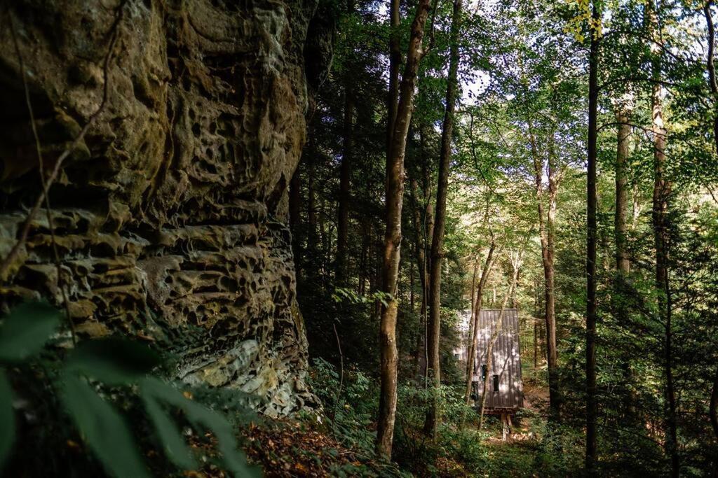 Dunlap Hollow A-Frame Rockbridge Bagian luar foto