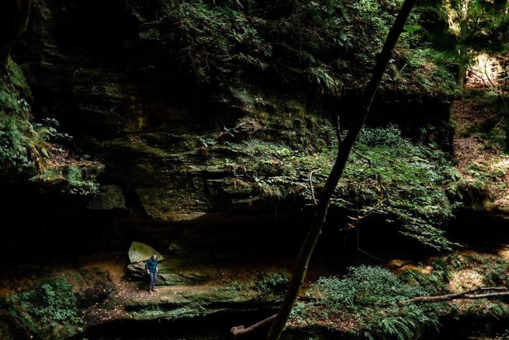 Dunlap Hollow A-Frame Rockbridge Bagian luar foto